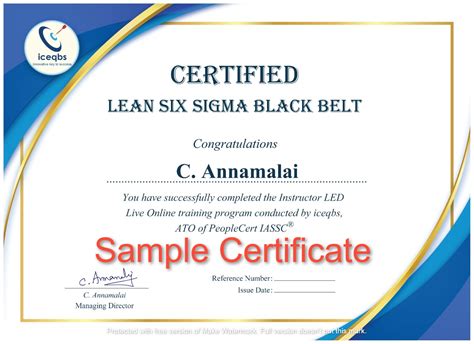 Lean Six Sigma Training ZaranTech | lupon.gov.ph