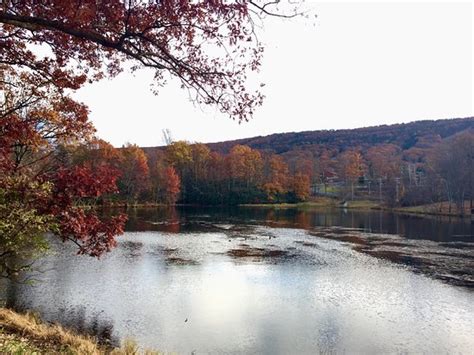 Big Pocono State Park (Tannersville) - 2020 What to Know Before You Go ...