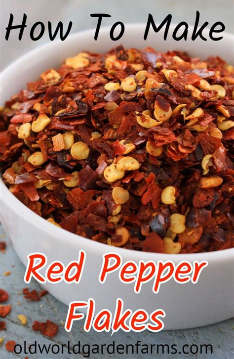 Homemade Cayenne Pepper Powder Recipe - Taste The Freshness! | Recipe ...