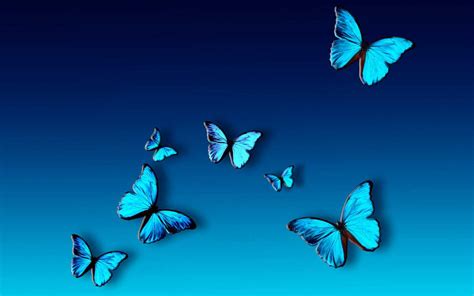 Desktop Blue Butterfly Wallpaper - iXpap