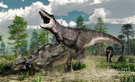 Classic Fight Tyrannosaurus Rex Vs Ankylosaurus Dinos - vrogue.co