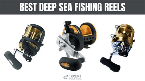 Best Deep Sea Fishing Reels ⋆ Expert World Travel