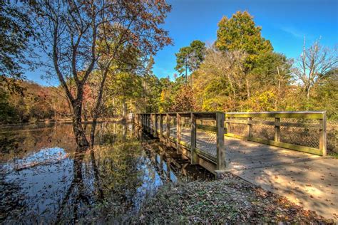 Neuse River Greenway Trail Images – Neuse River Trail