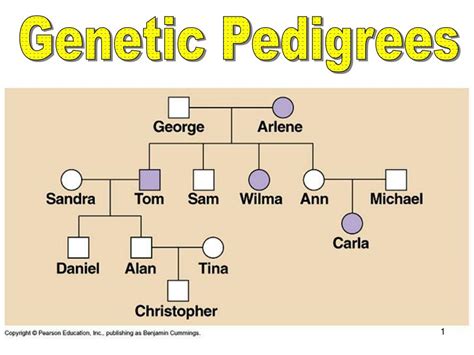 PPT - Genetic Pedigrees PowerPoint Presentation, free download - ID:6747210