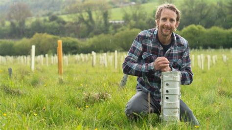 Woodland Trust pledges to end use of plastic tree guards - BBC News