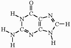 Guanine Formula & Structure