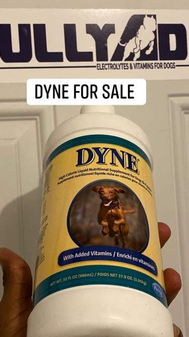 Dyne For Dogs For Sale - Kingston