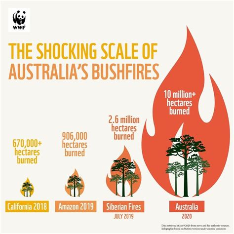 Jesse Strickland Berita: Australian Bush Fires 2023