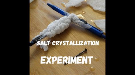 Salt Crystallization Experiment - Do it at Home - YouTube