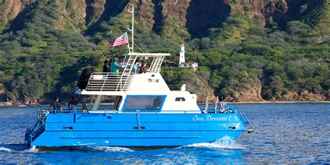 Oahu Dolphin Tours - Dolphins Guaranteed