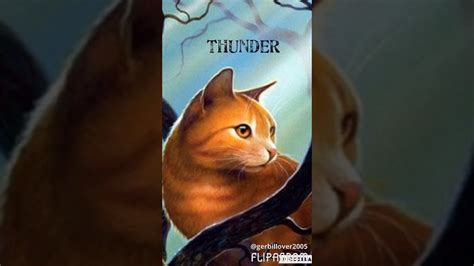 All ThunderClan Leaders| Warrior Cats| READ DESC. - YouTube