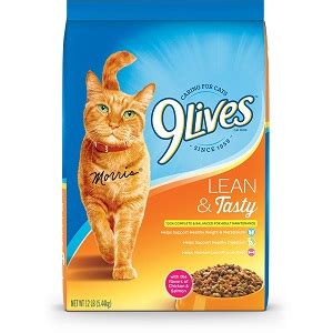 Best Dry Cat Foods - Reviews & Buying Guide - Catnipsum