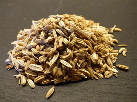 The Remarkable Health Benefits of Saunf (Fennel Seeds) - Medy Life