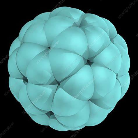 Buckyball molecule, artwork - Stock Image - F003/4168 - Science Photo ...