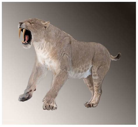 Smilodon - Facts and Pictures