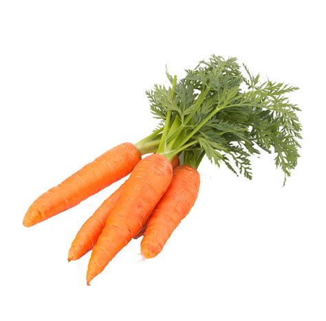 Carrot Vegetable Food - carrot png download - 685*675 - Free ...