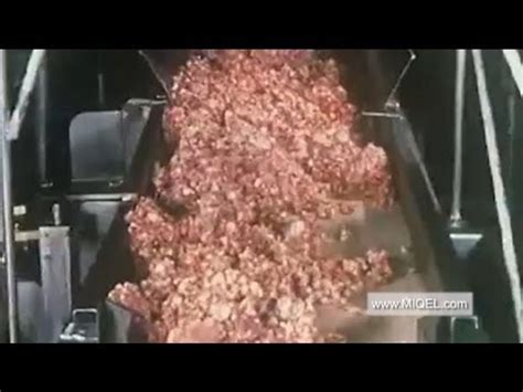 Man falls into meat grinder in gruesome workplace accident - video ...