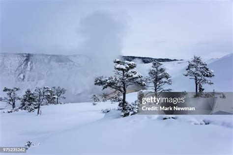 270 Mammoth Hot Springs Winter Stock Photos, High-Res Pictures, and Images - Getty Images