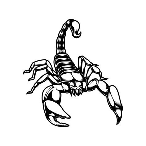 The Scorpion Line Art Vector 5725415 Vector Art at Vecteezy