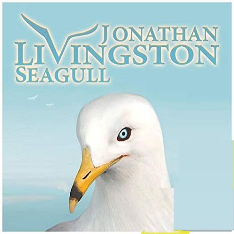 Jonathan Livingston Seagull by Richard Bach PDF Download - Today Novels