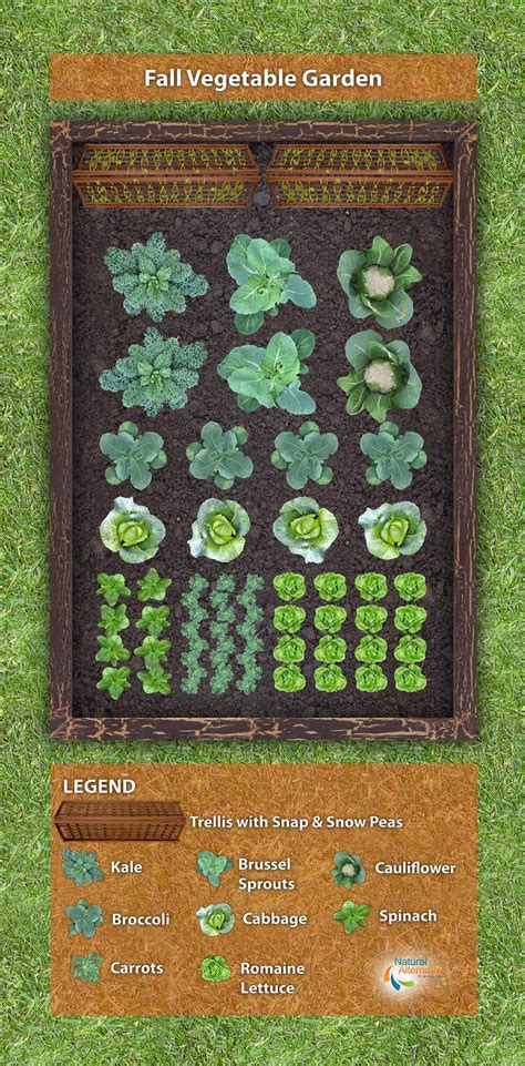 Fall Vegetable Garden Plan | Fall garden vegetables, Vegetable garden ...