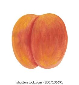 Whole Realistic Peach Drawing Isolated On Stock Illustration 2007136691 | Shutterstock