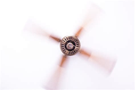 Why changing your ceiling fan direction matters and how to do it - Homeowner - Homeownering