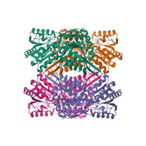 RCSB PDB - 5X5T: Crystal structure of alpha-ketoglutarate semialdehyde ...