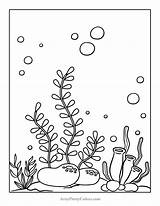 Free Algae Coloring Pages Aquatic Plant PDFs  Artsy Pretty Colors sketch template