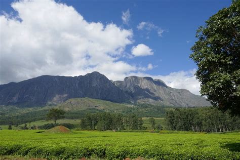 Mount Mulanje - All You Need to Know BEFORE You Go (2024)