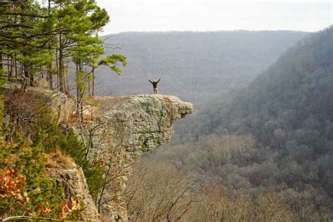 How To Reach Hawksbill Crag Hiking the Whitaker Point Trail - The ...