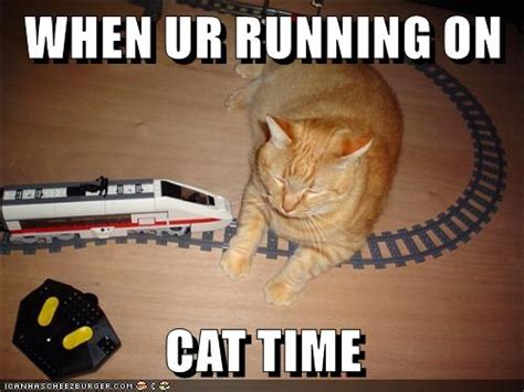 WHEN UR RUNNING ON CAT TIME - Lolcats - lol | cat memes | funny cats ...