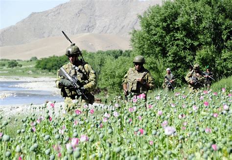 Opium cultivation and heroin production in Pakistan’s northern tribal belt and neighbouring ...