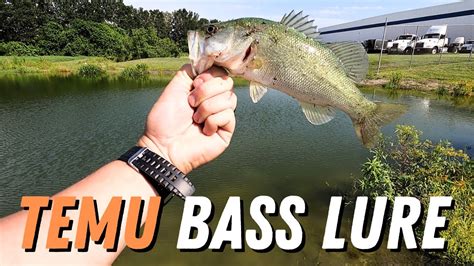 TEMU bass lures review - YouTube