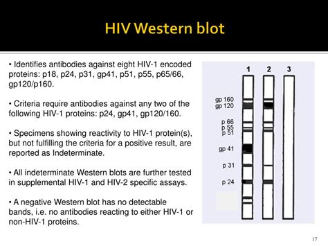 PPT - Diagnosis of HIV Infection PowerPoint Presentation, free download ...