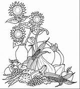 Fall Harvest Coloring Pages Sketch Page sketch template