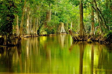 Insider’s Guide to Tavares – Visit Lake – Lake County, FL Tourism Blog