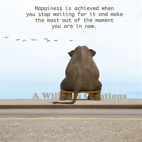 Inspirational Quotes Elephant. QuotesGram