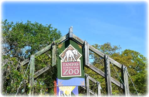 Lowry Park Zoo - Tampa, Florida