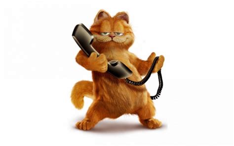 Garfield, Kucing, Kartun - Garfield On The Phone - 1680x1050 Wallpaper - teahub.io