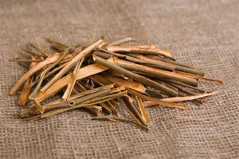 White Willow Bark Tea: Benefits, Side Effects, and Recipe | Chinese ...