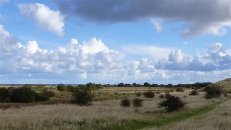 Donna Nook Nature Reserve | Day Out With The Kids