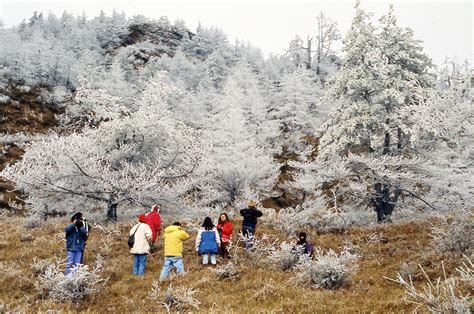 Hehuanshan National Forest Recreation Area | Friendly Muslim Tourism ...