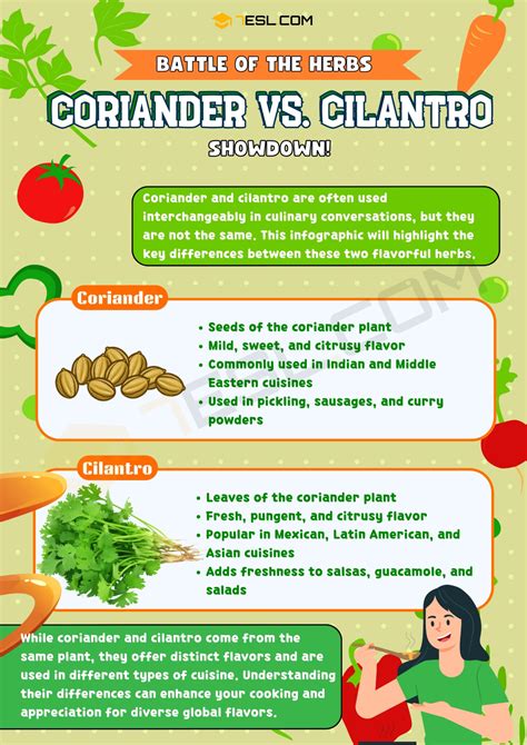 Coriander vs. Cilantro: The Difference Between Coriander and Cilantro • 7ESL