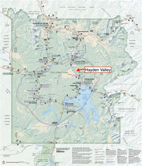 How to Visit Hayden Valley in Yellowstone (Things to See and Do) - We ...