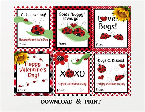 Ladybug Valentines Day Cards, Valentines Cards for Kids Classroom ...