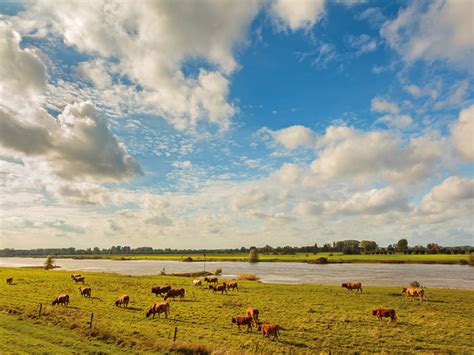 Natuur in Gelderland | 9x mooiste plekken in de provincie