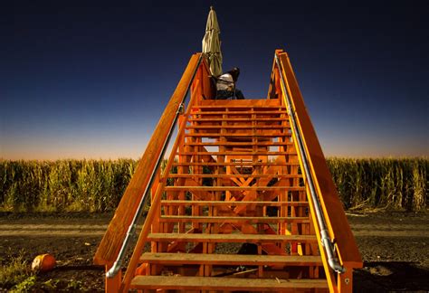 Cool Patch Pumpkins Corn Maze in California 2024 - Rove.me