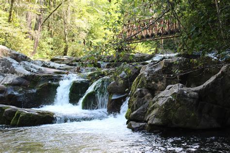 Creeper Trail Bike Rental & Shuttle: Virginia Creeper Trail