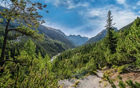 Discover wildlife in Switzerland's National Park Visit Graubunden